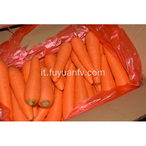 Prezzo di fabbrica di carote fresche con buona qualità